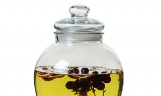 泡酒方法 人参泡酒方法