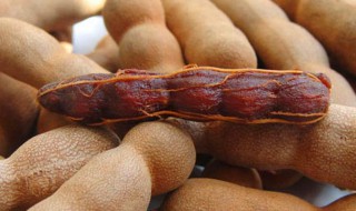 云南甜酸角的功效营养 云南酸甜豆角功效