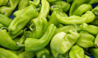 尖椒如何选购(青椒选购技巧)