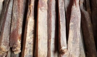 怎么挑选别直参 新鲜别直参如何使用效果好