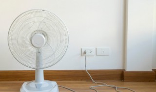 怎么挑选电扇(怎么挑选电扇的功率)