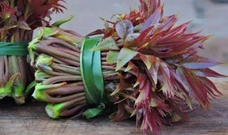 怎么挑选香椿呢（怎么挑选香椿呢图片）