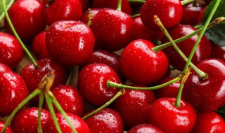 如何挑选樱桃 如何挑选樱桃树