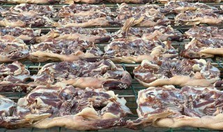 正宗腊鸭的腌制方法（腊鸭的腌制做法大全）