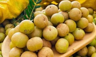 油柑子的泡酒制作方法(油柑子的泡酒制作方法窍门)