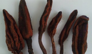 回春草泡酒方法 回春草泡酒十大配方