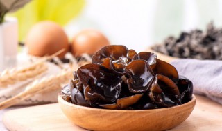 木耳功效 木耳功效与作用营养价值