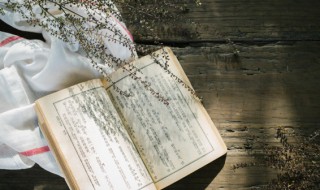 此时无声胜有声下一句 此时无声胜有声表达什么意思