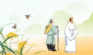 梦里花落知多少下一句 梦里花落知多少一句话总结