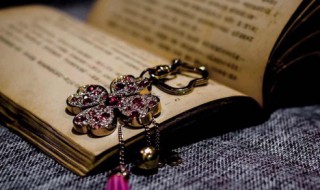 获字组词 获字组词语