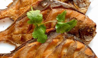 香煎鲳鱼的正宗做法 香煎鲳鱼图片