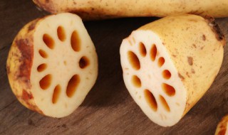 财鱼焖藕的正宗做法 财鱼焖藕的正宗做法窍门