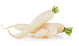 白萝卜水培方法开花（水培白萝卜一般多久开花）