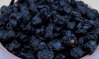 醋五味子的功效和作用（五味子治失眠的方法）