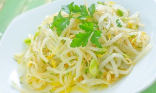 水培黄豆芽的方法如下 水培黄豆芽的生长过程观察日记