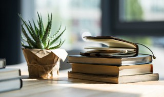 芦荟繁殖方法 芦荟直接剪断插土里可以活吗