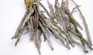 铁皮石斛泡酒的方法（铁皮石斛怎么泡酒）