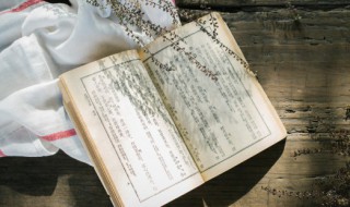 生活一半是回忆一半是继续下一句 所谓生活,一半烟火,一半清欢