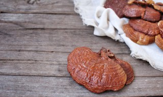 灵芝鉴别方法(灵芝怎么识别)