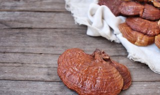 灵芝的鉴别方法 纯野生灵芝鉴别方法