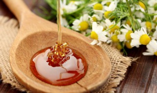 好蜂蜜的鉴别方法（掺了白糖的蜂蜜结晶图）