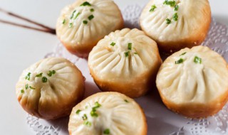 正宗上海生煎包的做法和配方 正宗上海生煎包的做法和配方图片