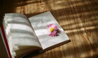 惩前毖后的拼音 惩前毖后拼音怎么写