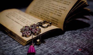 一丘之貉拼音（一丘之貉拼音声调）