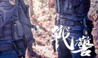 战警电视剧演员表 战警电视剧演员表介绍