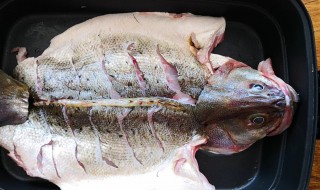 鲈鱼放冰箱里能放多久 鲈鱼放冰箱两天还能吃吗