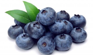 蓝莓的种子是什么（蓝莓的种子是什么样蓝蓝莓的）