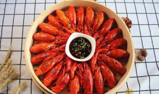 广东能不能养小龙虾 广东能不能养小龙虾呢