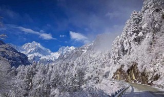 阿尔卑斯山南坡物种丰富的原因 阿尔卑斯山脉南北坡