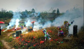 已故亲人坟头草很旺盛可以除草么（死人坟头上的草能割吗）