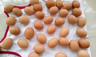 鸡蛋如何清洗和保存? 鸡蛋如何清洗和保存方法
