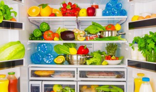 蔬菜能不能放到冰箱里储存（蔬菜可以放冰箱保存吗）