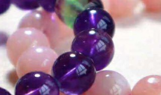 紫水晶萝卜的功效与作用（紫水晶萝卜的功效与作用及禁忌）