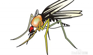 驱蚊虫的妙招有哪些 驱蚊虫的妙招有哪些图片