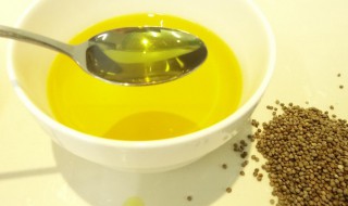苏子油绿豆粉的功效与作用 苏子加绿豆的功效