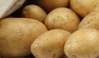 土豆一年种几次?分别是什么季节 土豆一年种植几季