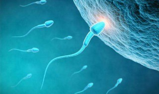 什么是受精的作用（什么叫受精的作用及其过程）