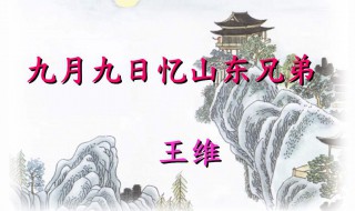 九月九日忆山东兄弟整首诗的意思是 《九月九日忆山东兄弟》这首古诗的意思是什么