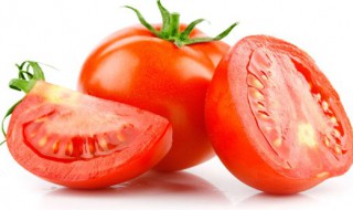 番茄需要怎么种（番茄需要怎么种植方法）