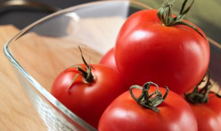 西红柿什么时候种好怎么种 西红柿什么时候种最好?
