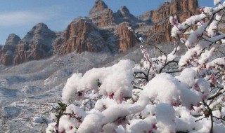 民俗旅游的特征有哪些 民俗旅游的特征有哪些内容