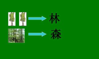 木字旁的字大全 13画木字旁的字大全