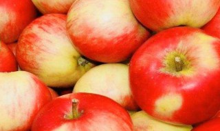什么季节出的苹果最好吃（什么季节产苹果）