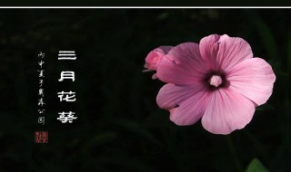 三月算哪个季节 三月是什么季节