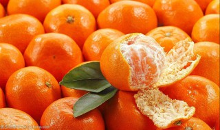 哪个季节能吃橘子（哪个季节能吃橘子呢）