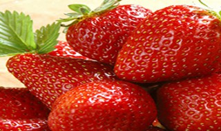 盆栽草莓怎么浇水 盆栽草莓浇水过多烂根了怎么办